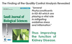 KD KIT for Effective Kidney Care | Complete Kidney Care Kit | Kidney Support Ayurvedic Health Supplement